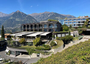 Superior Wellness Hotel Schenna Resort
